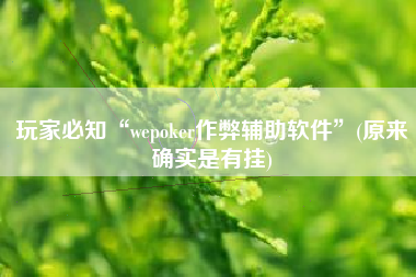 玩家必知“wepoker作弊辅助软件	”(原来确实是有挂)