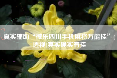 真实辅助“微乐四川手机麻将万能挂”(透视)其实确实有挂
