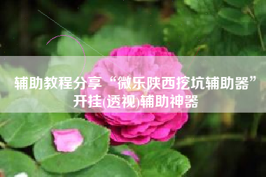 辅助教程分享“微乐陕西挖坑辅助器”开挂(透视)辅助神器