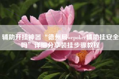 辅助开挂神器“德州局wepoker辅助挂安全吗”详细分享装挂步骤教程