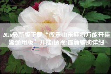 2026最新版下载“微乐山东麻将万能开挂器通用版	”开挂(透视)最新辅助详细