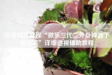 安装程序教程“微乐三代二外卦神器下载安装”详细透视辅助教程