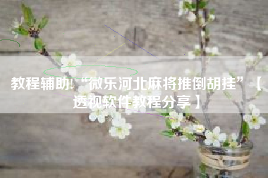 教程辅助!“微乐河北麻将推倒胡挂”【透视软件教程分享】