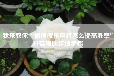 我来教你“微信微乐麻将怎么提高胜率”开挂辅助详细步骤