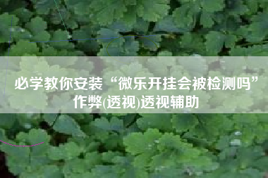必学教你安装“微乐开挂会被检测吗	”作弊(透视)透视辅助