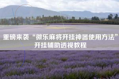 重磅来袭“微乐麻将开挂神器使用方法	”开挂辅助透视教程