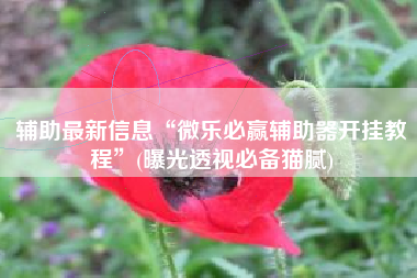 辅助最新信息“微乐必赢辅助器开挂教程”(曝光透视必备猫腻)