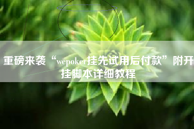 重磅来袭“wepoker挂先试用后付款”附开挂脚本详细教程