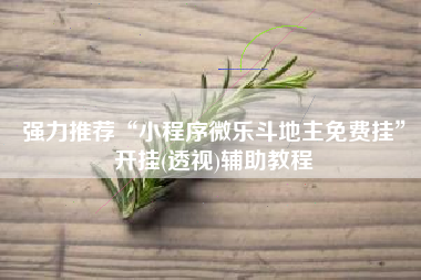强力推荐“小程序微乐斗地主免费挂”开挂(透视)辅助教程