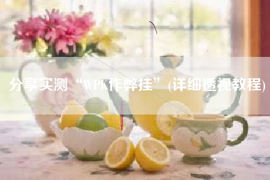 分享实测“WPK作弊挂”(详细透视教程)