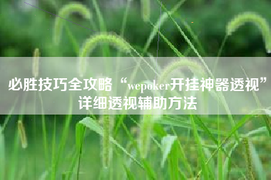 必胜技巧全攻略“wepoker开挂神器透视”详细透视辅助方法