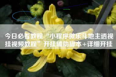 今日必看教程“小程序微乐斗地主透视挂视频教程”开挂辅助脚本+详细开挂