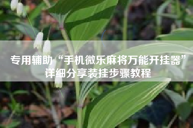 专用辅助“手机微乐麻将万能开挂器”详细分享装挂步骤教程