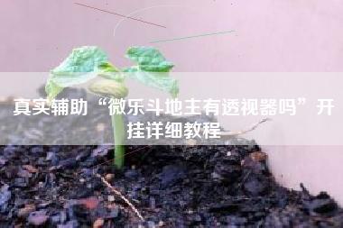 真实辅助“微乐斗地主有透视器吗	”开挂详细教程