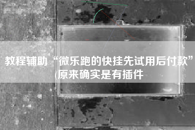 教程辅助“微乐跑的快挂先试用后付款	”(原来确实是有插件