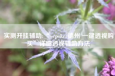 实测开挂辅助:“wepoker德州 一键透视购买	”详细透视辅助方法