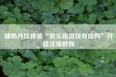 辅助开挂神器“微乐跑得快有挂吗	”开挂详细教程