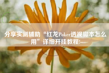 分享实测辅助“红龙Poker透视脚本怎么用	”详细开挂教程!