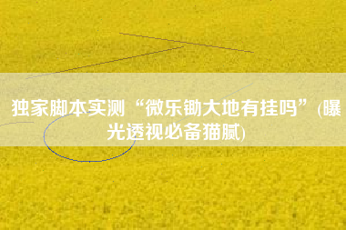 独家脚本实测“微乐锄大地有挂吗”(曝光透视必备猫腻)