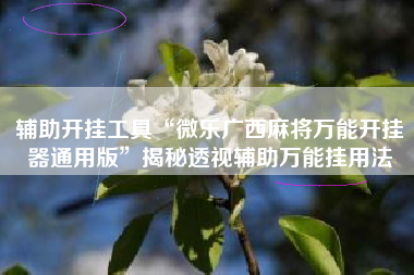 辅助开挂工具“微乐广西麻将万能开挂器通用版	”揭秘透视辅助万能挂用法
