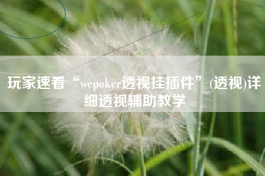 玩家速看“wepoker透视挂插件	”(透视)详细透视辅助教学