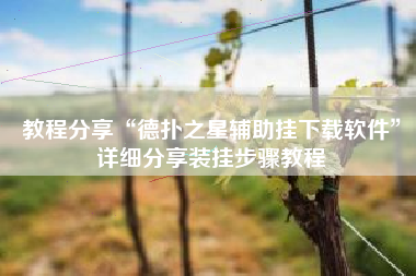 教程分享“德扑之星辅助挂下载软件	”详细分享装挂步骤教程