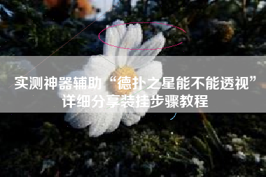 实测神器辅助“德扑之星能不能透视	”详细分享装挂步骤教程