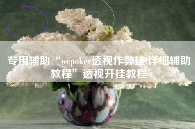 专用辅助“wepoker透视作弊挂!详细辅助教程”透视开挂教程
