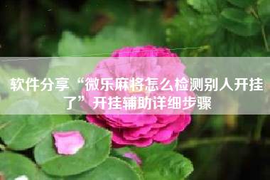 软件分享“微乐麻将怎么检测别人开挂了”开挂辅助详细步骤