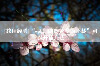 [教程经验]“wpk辅助器免费版下载”可以开挂方法
