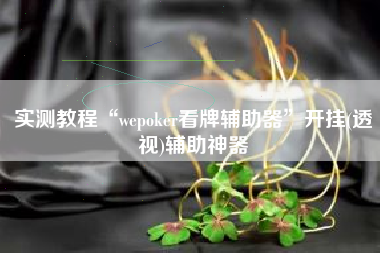 实测教程“wepoker看牌辅助器”开挂(透视)辅助神器