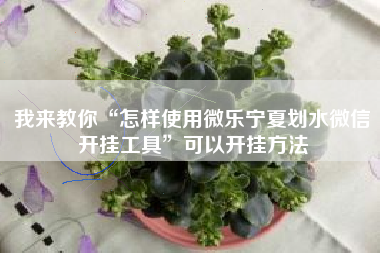 我来教你“怎样使用微乐宁夏划水微信开挂工具”可以开挂方法