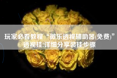 玩家必看教程“微乐透视辅助器(免费)”透视挂!详细分享装挂步骤