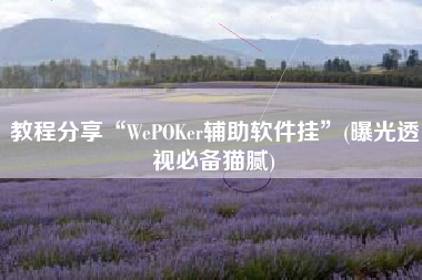 教程分享“WePOKer辅助软件挂”(曝光透视必备猫腻)