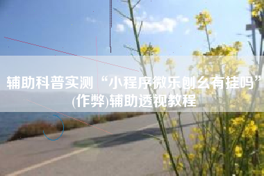 辅助科普实测“小程序微乐刨幺有挂吗”(作弊)辅助透视教程