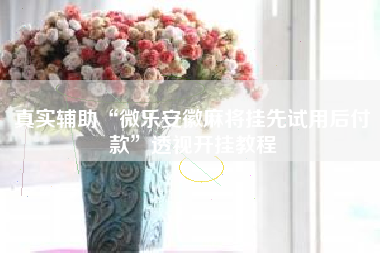 真实辅助“微乐安徽麻将挂先试用后付款	”透视开挂教程