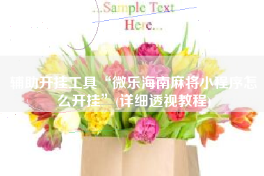 辅助开挂工具“微乐海南麻将小程序怎么开挂	”(详细透视教程)