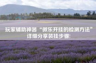 玩家辅助神器“微乐开挂的检测方法”详细分享装挂步骤!
