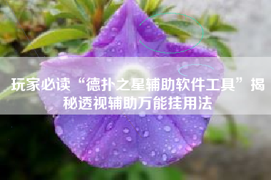 玩家必读“德扑之星辅助软件工具”揭秘透视辅助万能挂用法