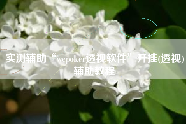 实测辅助“wepoker透视软件”开挂(透视)辅助教程