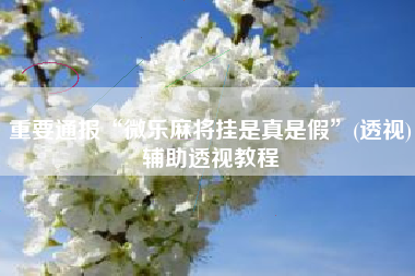 重要通报“微乐麻将挂是真是假”(透视)辅助透视教程