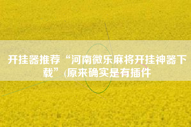 开挂器推荐“河南微乐麻将开挂神器下载”(原来确实是有插件