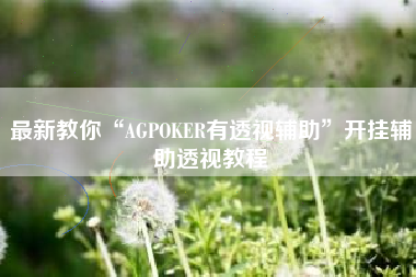 最新教你“AGPOKER有透视辅助	”开挂辅助透视教程
