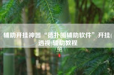 辅助开挂神器“德扑圈辅助软件	”开挂(透视)辅助教程