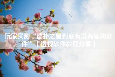 玩家实测“德扑之星到底有没有辅助软件	”【透视软件教程分享】