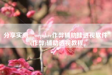 分享实测“wepoker作弊辅助挂透视软件	”(作弊)辅助透视教程