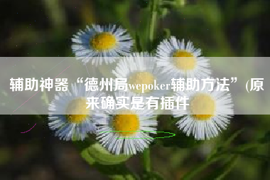 辅助神器“德州局wepoker辅助方法”(原来确实是有插件