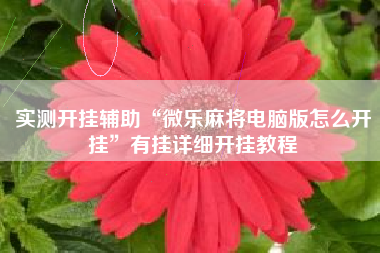 实测开挂辅助“微乐麻将电脑版怎么开挂	”有挂详细开挂教程