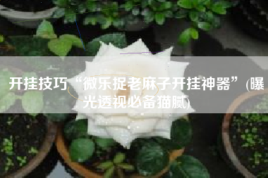 开挂技巧“微乐捉老麻子开挂神器”(曝光透视必备猫腻)