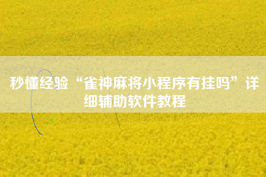 秒懂经验“雀神麻将小程序有挂吗”详细辅助软件教程